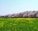 旅行の計画考えます あなただけの旅行プランご提案します。 イメージ6