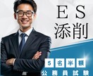 元公務員人事がエントリーシート合格レベル添削します 【公務員専用】志望先を徹底攻略して最短1日でゼロから完成可 イメージ1