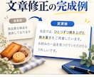 あなたのAI文章を自然な日本語に整えます 用途と読者に合わせて500字から調整 イメージ2