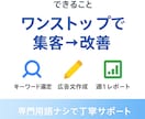 小額予算OK／WEB広告をご支援ます 少額予算から始める “はじめての Web 広告” イメージ2