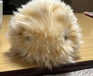 何でも聞きます 一人で抱え込まないで。ちょっとお話ししよう！ イメージ1
