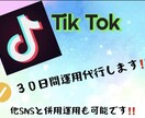 TikTok ＆インスタグラム運用代行します ２ＳＮＳを30日間運用代行します。 イメージ1
