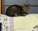 過去に病院に行くほど鬱になっています 今辛いひと、苦しい人、いつでも相談してください。 イメージ8