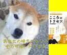 問題解決✨こころのサポーターがきみの心を楽にします ひとりで考え過ぎないで。悩みを抱え込まないでほしい。 イメージ10