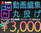 動画編集初回トライアル価格3000円で承ります 依頼を迷っている方へ初回トライアル価格でご提供! イメージ1
