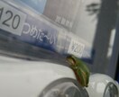 お話(*´ω｀*)聞きます 話したい時にそっと寄り添います 心を、軽くしましょう♪ イメージ1