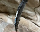 分からない野鳥教えます 〜初心者から最短で野鳥博士になりませんか？〜 イメージ10