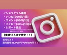 INSTAGRAM運用のプロが代行いたします 今や必要不可欠なSNSマーケティングはプロにお任せ イメージ1