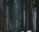 プロフィール写真を撮影します あなたの欲しい写真を撮影します！ イメージ5