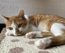 相談・愚痴ききます ストレスはためずに発散しましょう イメージ1