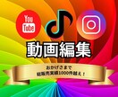 SNS特化動画編集・PR動画作成します TikTok/YouTube対応・修正＆運用サポート付 イメージ1