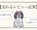 目に留まるレビュー記事を作成します 読者の購入意欲や共感を誘う文章を執筆 イメージ1
