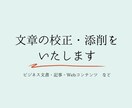 文章を校正・添削します 丁寧な校正・添削を心がけています イメージ1