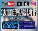 YouTube、SNS向けの動画作成いたします ショート動画、インスタ向けの縦長動画も作成可能です！ イメージ1