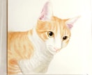 猫限定＊アナログ絵でうちの子ペット似顔絵描きます 額付きのアナログ絵。色の塗り重ねで優しく深みがあります イメージ2