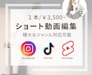 SNS縦型ショート動画編集します 丁寧でペルソナに合わせた編集を心がけています！ イメージ1