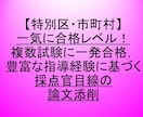 公務員試験【障害者枠】　論作文添削します 特別区障害者枠　連続合格者を輩出した丁寧なサポート！ イメージ1