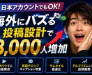 高品質インスタフォロワー3000人増やします 外国人フォロワーの増加となります。 イメージ2