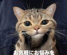 介護、美容、健康等に対してお話お聞きします 介護事業とエステ事業経営と走り方教室などもしております。 イメージ1