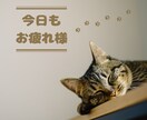あなたの心のモヤモヤうかがいます こころの荷物、少し降ろしてみませんか？ イメージ4