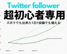超【初心者専用】★フォロワー★増加方法おしえます Twitterフォロワー増加のアドバイス イメージ1