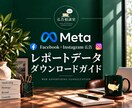 Meta広告の月次レポートを作成します Facebook・Instagram広告の実績を見やすく整理 イメージ3