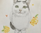あなたの大切な猫ちゃんのイラストを描きます やさしい繊細な画風でねこちゃんのイラストをお届けします！ イメージ2