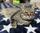 とりあえず話したい‼︎って方、待ってます 憂さ晴らしや誰にも言えない悩み事等、全て受け止めます⭐︎ イメージ1