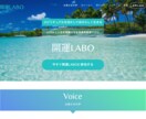 実績300件！20年のプロが高品質HPを作ります 20年のWeb業界経験からビジネス効果のでるサイトを作成 イメージ3