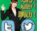 ツイッターつぶやき集４０個作成おまかせプラン♪祝♪SEO・Webマーケティング部門ランクイン自信あり イメージ2