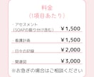 小児科現役看護師が実習のサポートをします 小児科看護師があなたの実習記録、看護過程をサポートします！ イメージ3