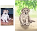 ペット肖像画【犬・猫さん全身】をお描きします 修正無制限で写真以上の存在感。A3額装配送・画像データ提供 イメージ10