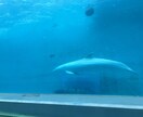 30分間トークルームでお相手します 寝れない人、この指とまれー^o^ イメージ1
