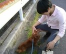 恋は盲目、客観的にあなたの恋のお悩みを分析します あなたの恋の悩みを解き明かし、道が開けるようにアドバイス イメージ3