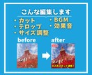 SNS用ショート動画1本3,000円で編集します 素材を送るだけ、あとはお任せ。最短即日！サクッと1本。 イメージ2