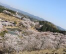 暇な時、寂しい時、嬉しい時話し相手になります 恋愛相談や、会社の愚痴、なんでも聞きます( *´•ω• イメージ1