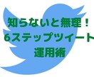 twitterにファンが出来るツイート方法教えます 実績関係なく集客するための運用術6ステップ イメージ1