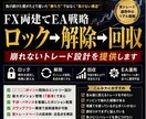 FX両建てロック→解除→回収の全ロジック公開ます 両建て戦略ロック解除回収による資金管理とポジション設計を提供 イメージ2