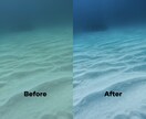 水中写真をLightroomで美しく補正します 水中写真の色補正・レタッチならお任せください イメージ2