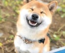 お試し☆ブロックを引き抜き&新しい思考を送ります 苦手や滞ることの根本を読み取り、エネルギーの変化を見届けます イメージ10