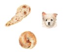 食べ物、飲み物のイラスト描きます リアルなテイストで食べたくなるようなイラストを！ イメージ3