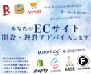 あなたのECサイトに合わせたアドバイスをします 開設前/運用中どちらでも◎EC支援会社のノウハウを教えます！ イメージ1