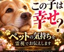 ペットの気持ち｜あの子があなたに伝える真実を視ます 愛するペットの本当の気持ち・家族への想い・今望んでいること イメージ1