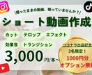 ショート動画編集｜世界観を大切に編集します 出品記念でオプション1000円分無料｜丁寧・高品質仕上げ◎ イメージ1