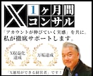 1ヶ月間、X（Twitter）運用コンサルします X運用にもっと力を入れたい方、1ヶ月間徹底サポートします。 イメージ1