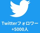 Twitterのフォロワー5000人増やします 5000人以上も対応可能！アカウントの振り分けも可能です。 イメージ1