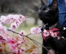 大切な家族の写真を出張撮影しますます いつもの表情や仕草を自然な雰囲気で写真に残します イメージ3