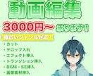 動画編集します 文字起こしやカットなど簡単な作業ならお任せください イメージ1