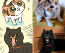 ペット（動物）を可愛いデフォルメイラストにします 即日対応！修正無制限！アイコンやプレゼントにどうぞ！ イメージ4