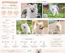 うちの子を手描き風で可愛く加工します 大切な家族の「今」を世界に一枚だけの特別な写真にしませんか？ イメージ2